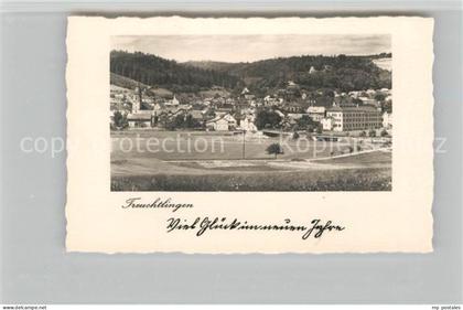 Treuchtlingen Teilansicht