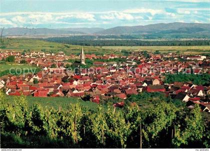 Ihringen Kaiserstuhl Panorama