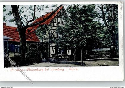 51794331 - Ilsenburg