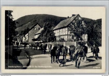 Ilsenburg Harz Buchbergstrasse