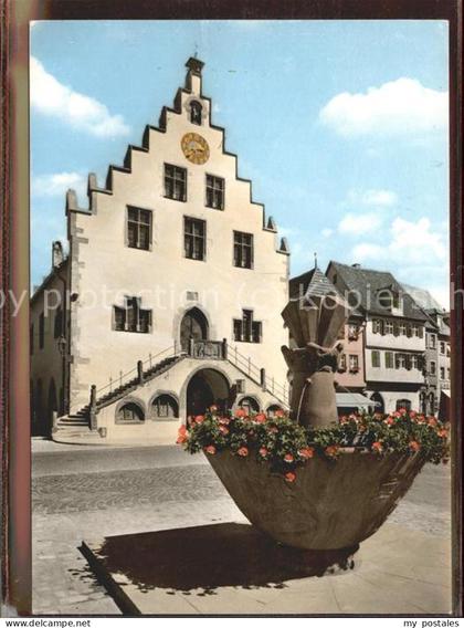 Karlstadt Main Rathaus mit Glauberbrunnen