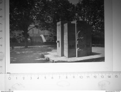 30113950 - Kirchheimbolanden