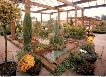 Koeln  Rhein Dingers Garten Center Koeln