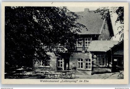 50879403 - Koenigslutter am Elm