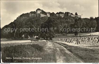 Koenigstein Saechsische Schweiz Festung Koenigstein