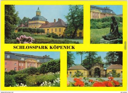 Ansichtskarte Köpenick Berlin Schlosspark Köpenick 1979