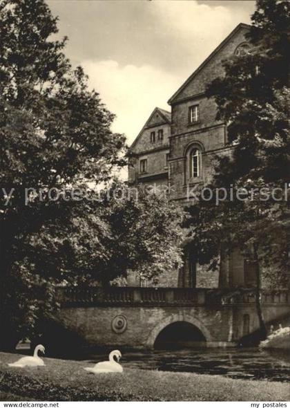 Koethen Anhalt Schlosspark Bruecke Schwaene