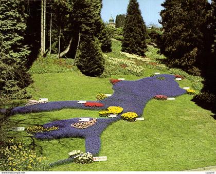 CPM Ile de Mainau au Lac de Constance Relief en fleurs le Lac de Constance au parc de la cote