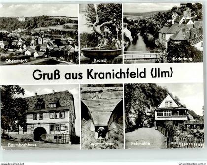 51828561 - Kranichfeld