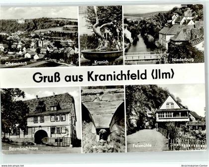 51828568 - Kranichfeld