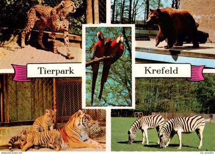 Krefeld Crefeld Tierpark Krefeld Gepard Tiger Baeren Papageien Zebras
