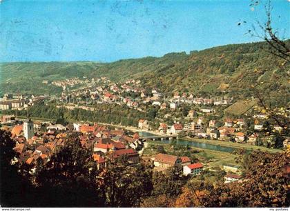 Kuenzelsau Panorama