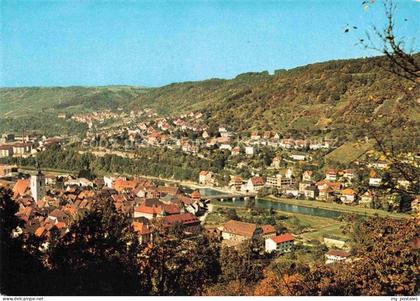 Kuenzelsau Panorama