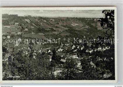 Kuenzelsau Panorama