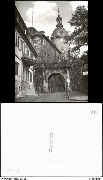 Ansichtskarte Laubach (Hessen) Straßenpartie - Eingang zum Schloß 1979