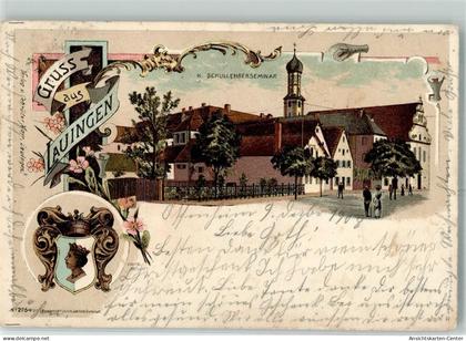 13474415 - Lauingen Donau