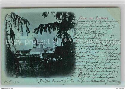 Lauingen Donau Teilansicht