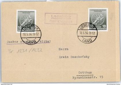 51324186 - Lieberose