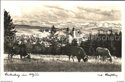 Lindenberg Allgaeu Kuehe