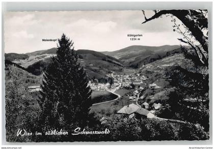 51660248 - Wies , Schwarzw