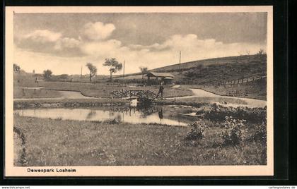 AK Losheim, Dewespark