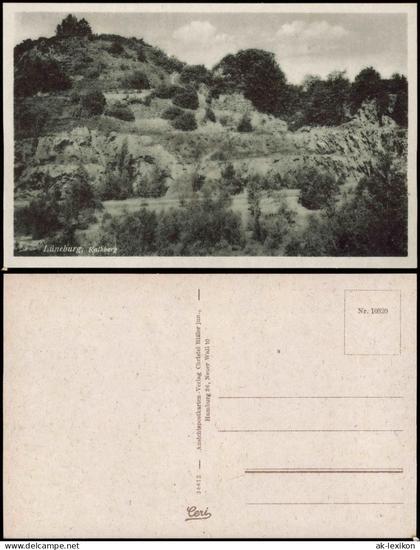 Ansichtskarte Lüneburg Lüneburg Umlandansicht mit Kalkberg 1940