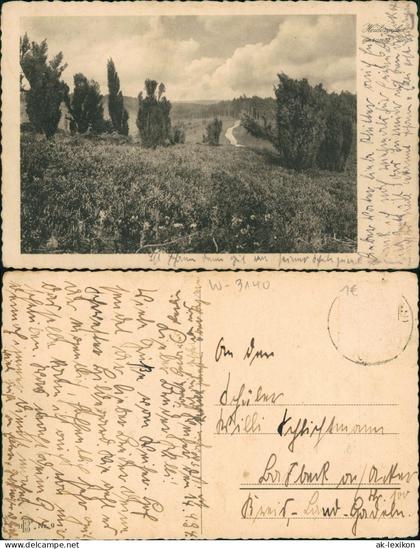 Ansichtskarte .Niedersachsen Lüneburger Heide Heidezauber Weg 1934