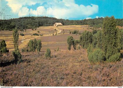 CPM Luneburger Heide