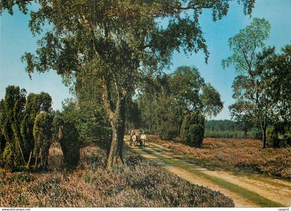 CPM Luneburger Heide
