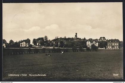 AK Lütjenburg i. Holst., Neverstorferstrasse
