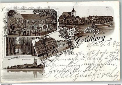 13661484 - Goldberg , Meckl