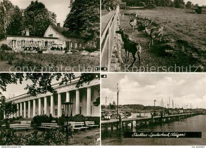 Lauterbach Putbus Rosencafe Haus Goor Erholungsheim Wildgehege Hafen