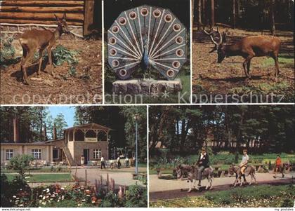 Ueckermuende Mecklenburg Vorpommern Tierpark