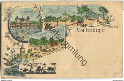 Moritzburg - Jagdschloss - Fasanenschlösschen - Fasanerie - Leuchtturm - Verlag Paul Schulze Moritzburg