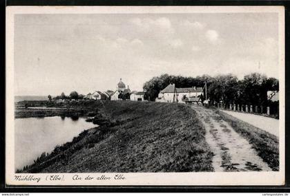 AK Mühlberg /Elbe, An der alten Elbe