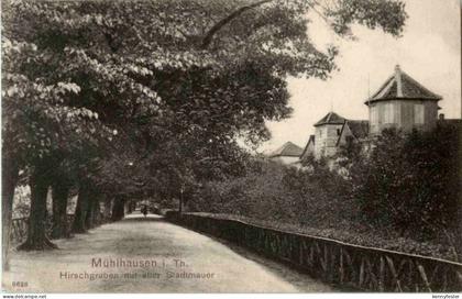 Mühlhausen - Hirschgraben