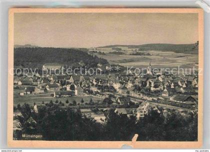 Muensingen Panorama