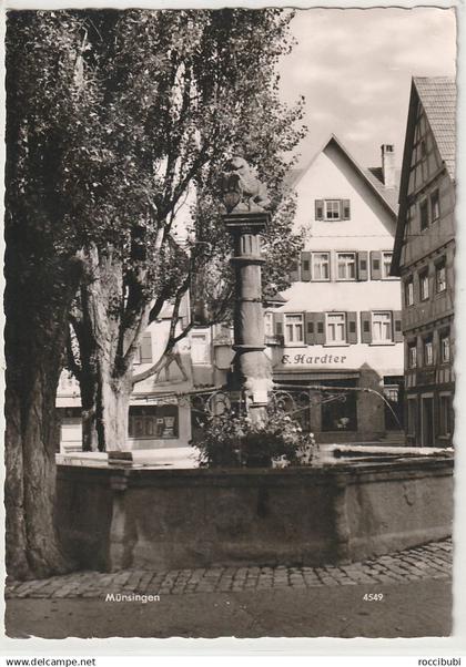 Münsingen