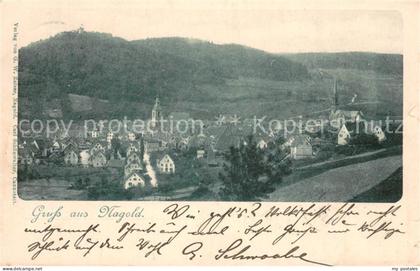 Nagold Panorama