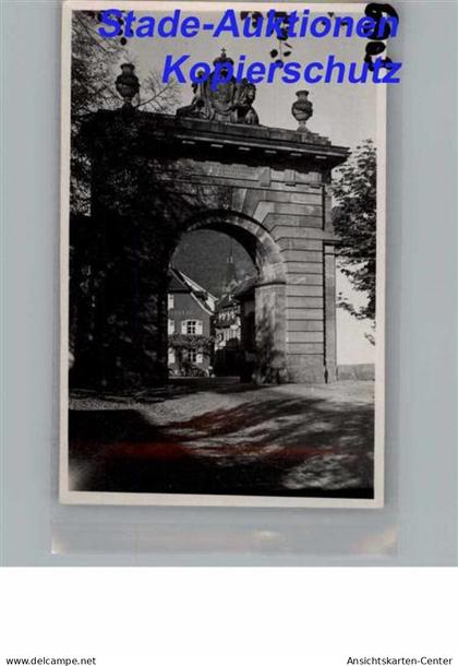 50275152 - Neckargemuend