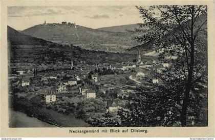 50283600 - Neckargemuend