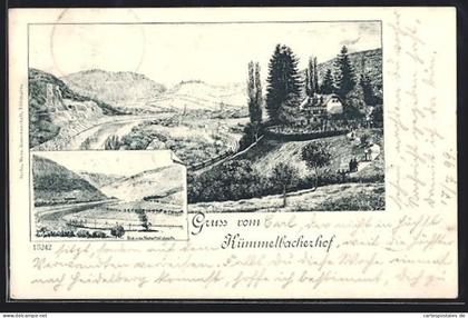 Lithographie Neckargemünd, Hotel Kümmelbacherhof, Ortspartie