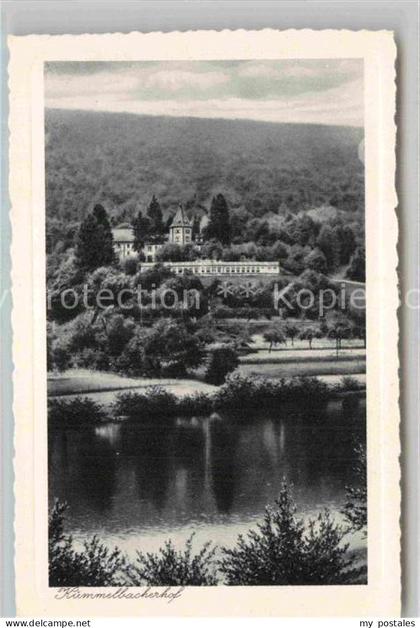 Neckargemuend Kuemmelbacherhof