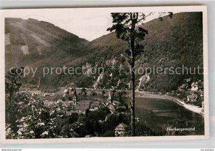 Neckargemuend Neckarpartie
