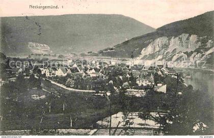Neckargemuend Panorama