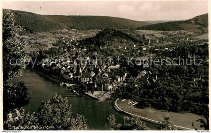 Neckargemuend Panorama