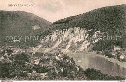 Neckargemuend Panorama