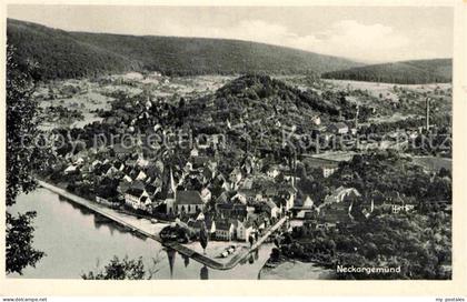 Neckargemuend Totalansicht