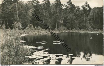 Neuglobsow - Partie am Teufelssee - Foto-AK 60er Jahre - Verlag PGH Rotophot Bestensee