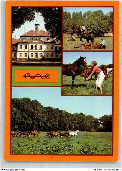 39458430 - Neustadt Dosse